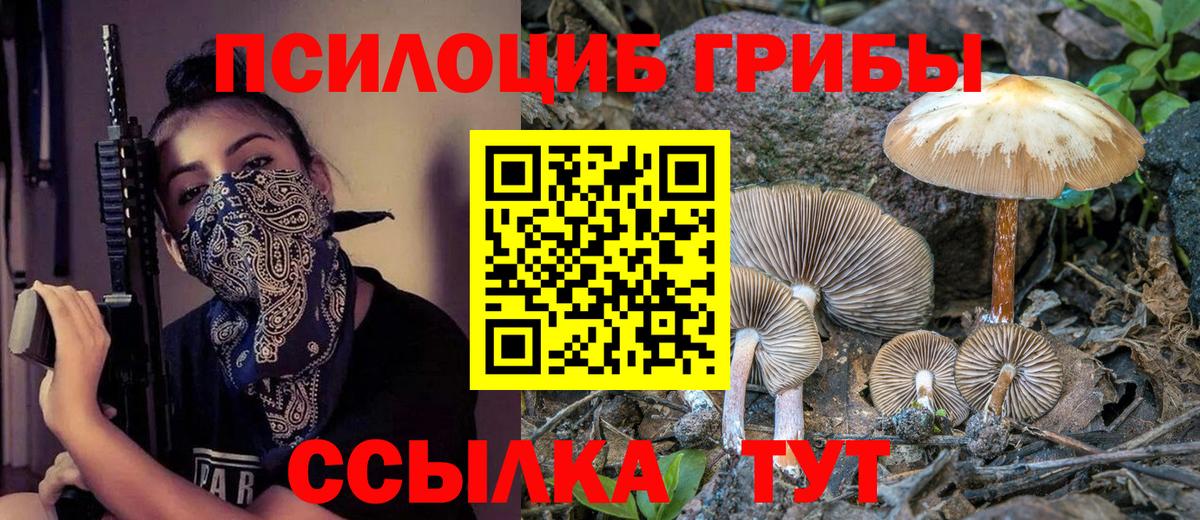 Благовещенск  Псилоцибиновые грибы Magic Shrooms  Вход с VPN 